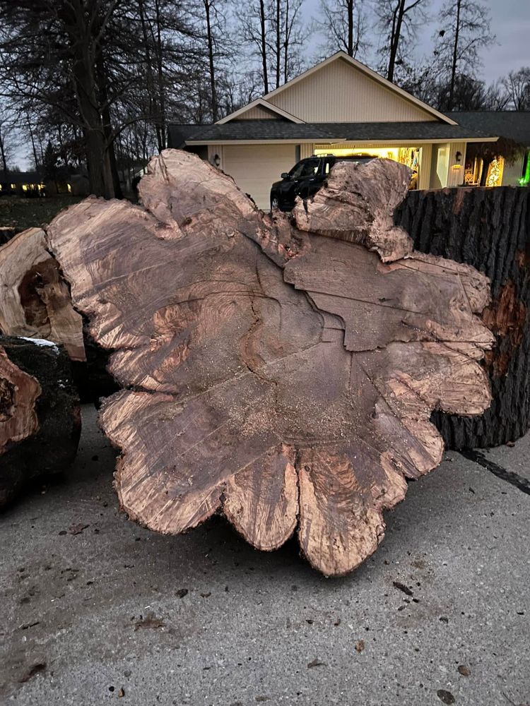 Tree Removal for Down To Earth Tree Service, LLC in Olmsted Falls, OH