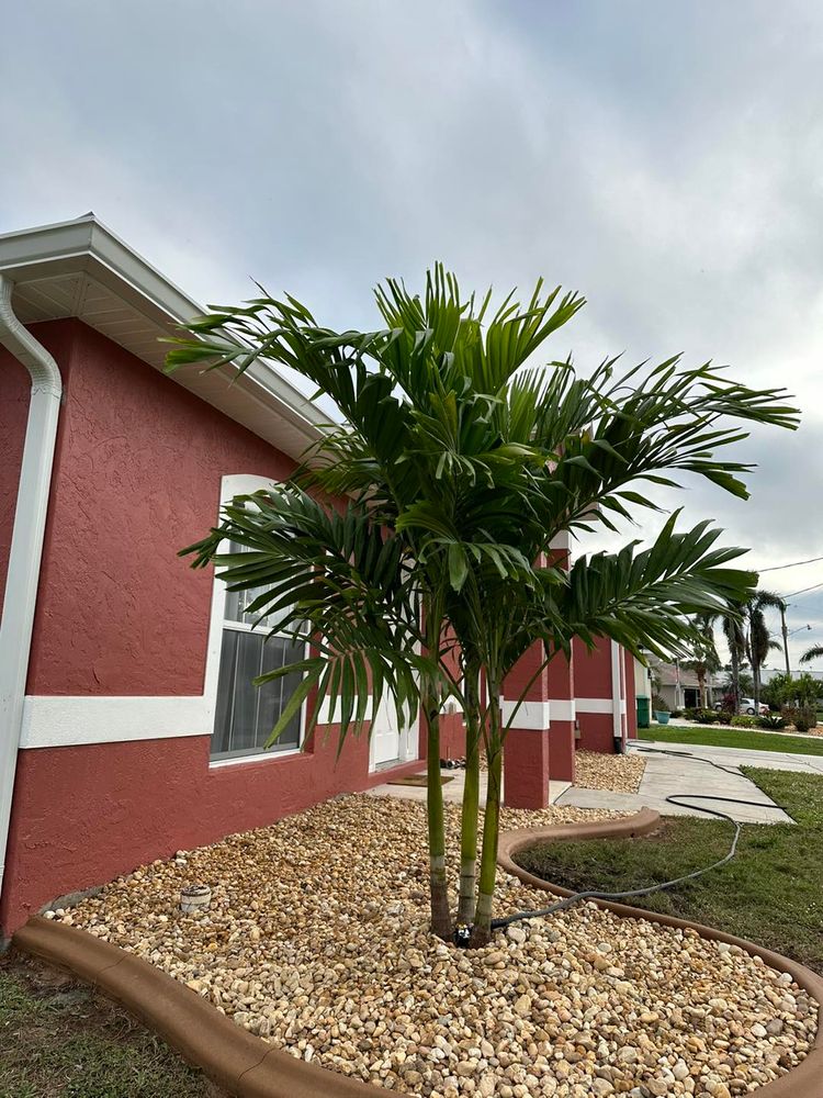 Landscaping for Plant World LLC in Cape Coral, FL