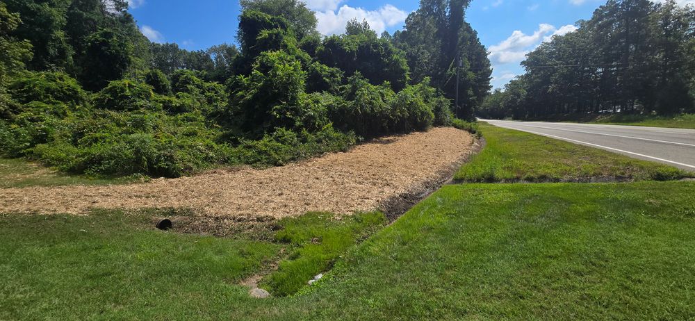 Clearing for C.A. Sherry Land Improvement, LLC. in Louisa, VA