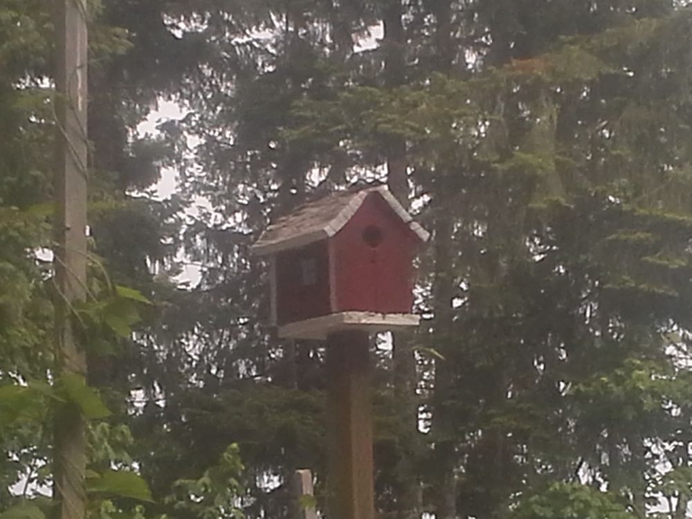 All Photos for Butte To Butte Painting in Lowell, OR