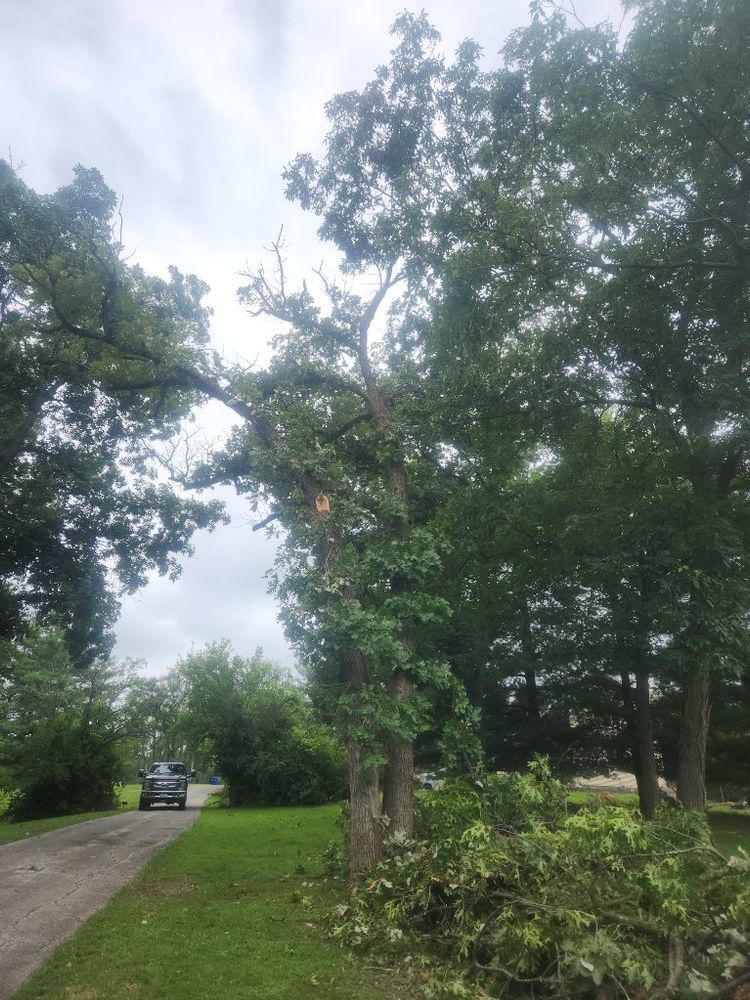 All Photos for Lawn Ranger Yard And Tree Service LLC in Ottumwa, IA