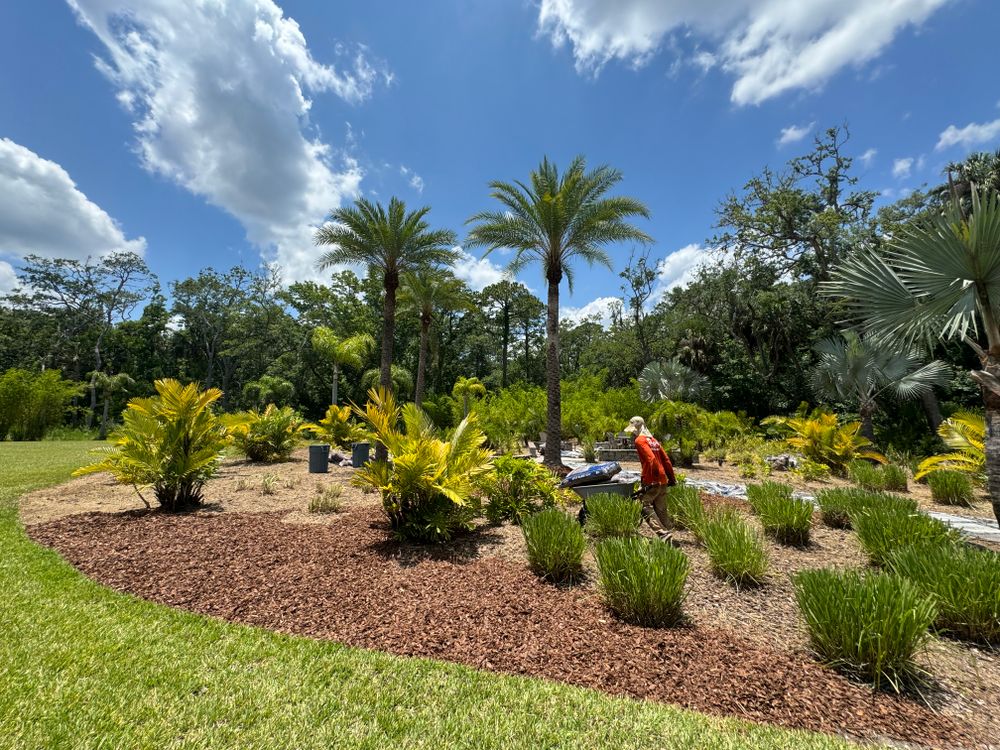 Landscaping for Pro Designs Landscaping LLC in Jacksonville, FL