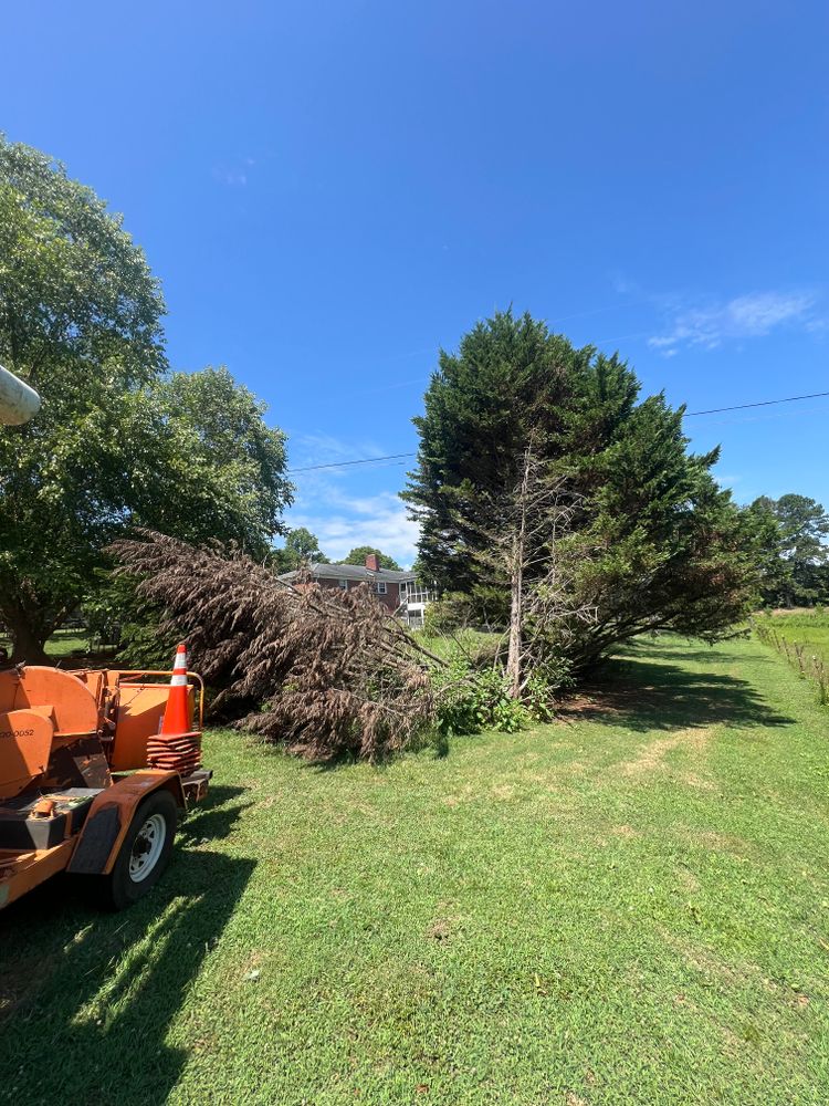 All Photos for Brooks Tree Service in Casar, NC