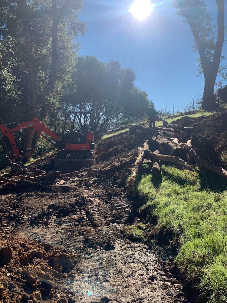 All Photos for J. Orozco & Sons Ent in Philo, CA