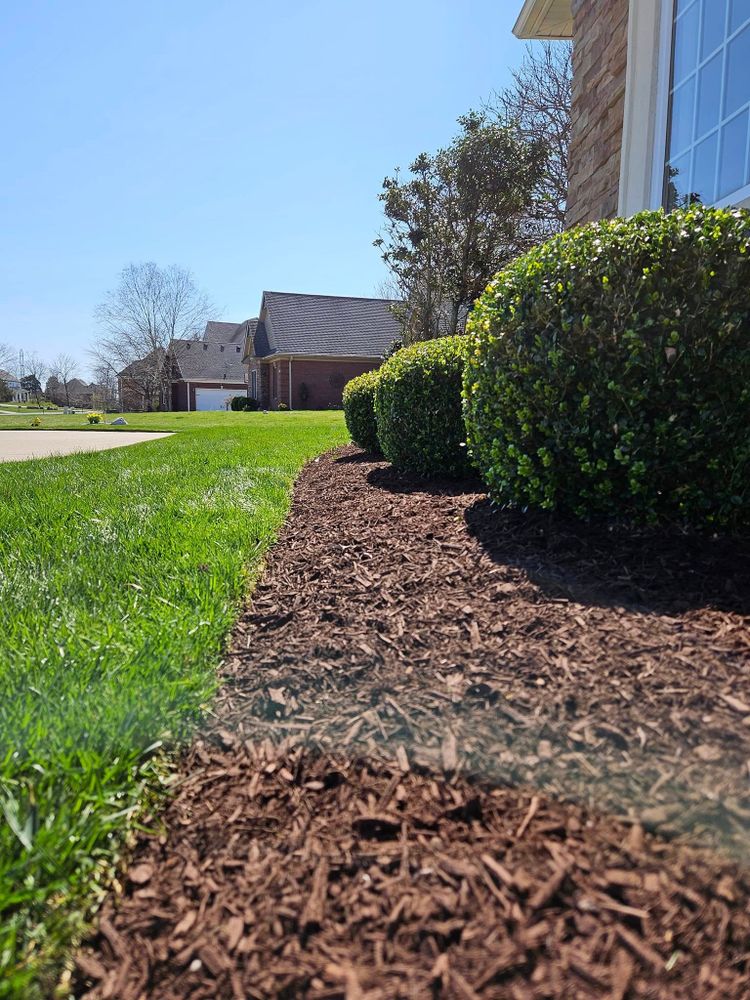 Enhance your garden's beauty and health with our professional mulch installation service, providing expert application to conserve moisture, reduce weeds, and enrich soil for vibrant landscapes all year round. for All Seasons Property Maintenance in Louisville, KY
