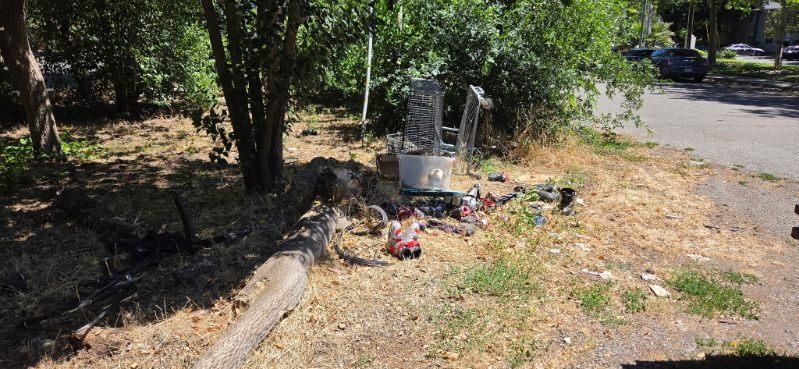 All Photos for Logan's Dump Run in Chico, CA