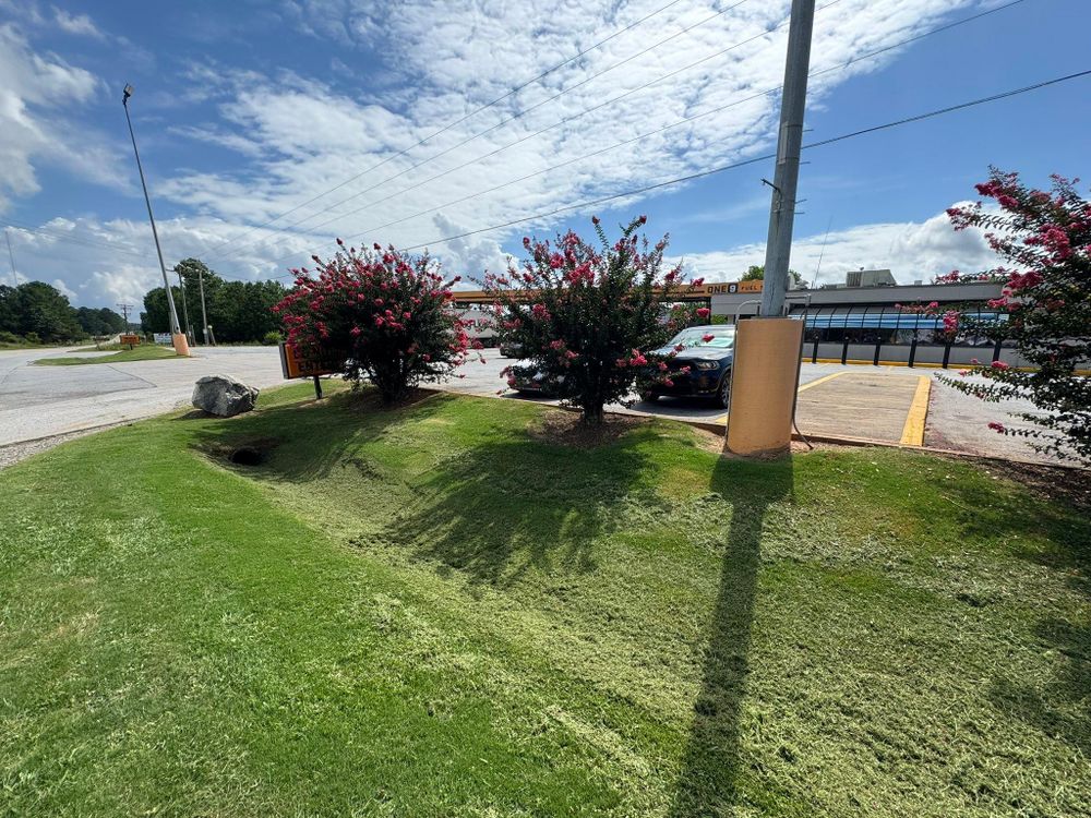 All Photos for Thin Green Line Landscaping & More in Laurens, SC