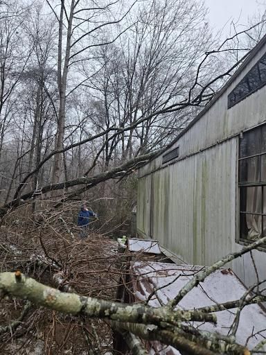 All Photos for Lucky’s Tree Removal and Landscape Services in Knoxville, TN