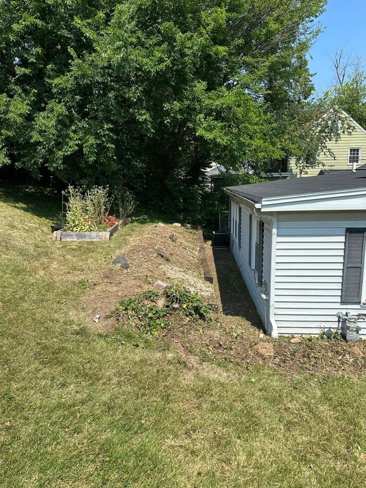 Tree Removal for Greenlee & Family Landscaping Services in Peoria, IL