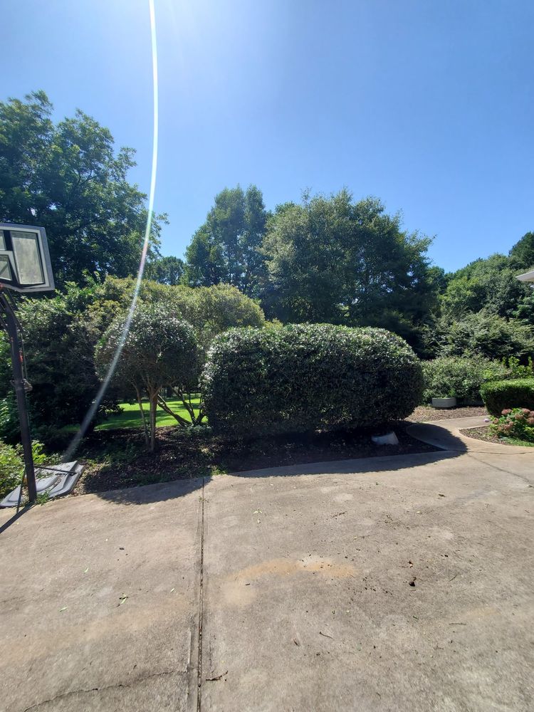 Mulch Installation for Zambrana Landscaping in Cobb County, GA