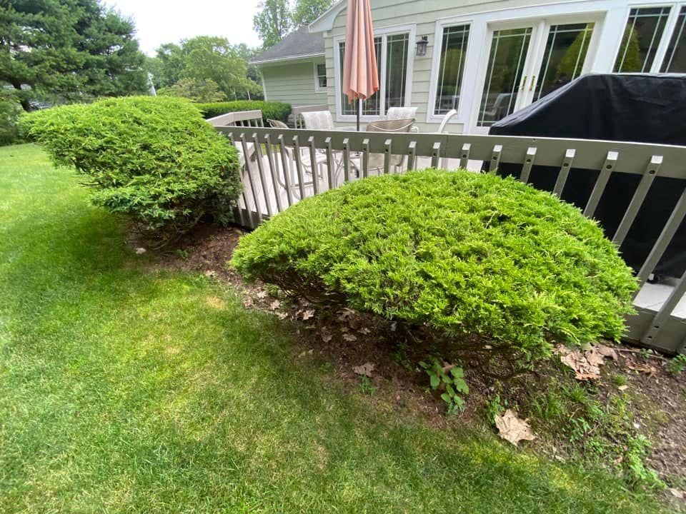 All Photos for Ace Landscaping in Trumbull, CT