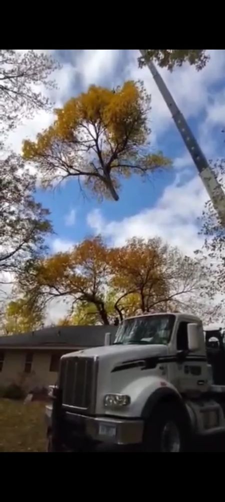 All Photos for Buffalo Family Tree Care in Buffalo, MN