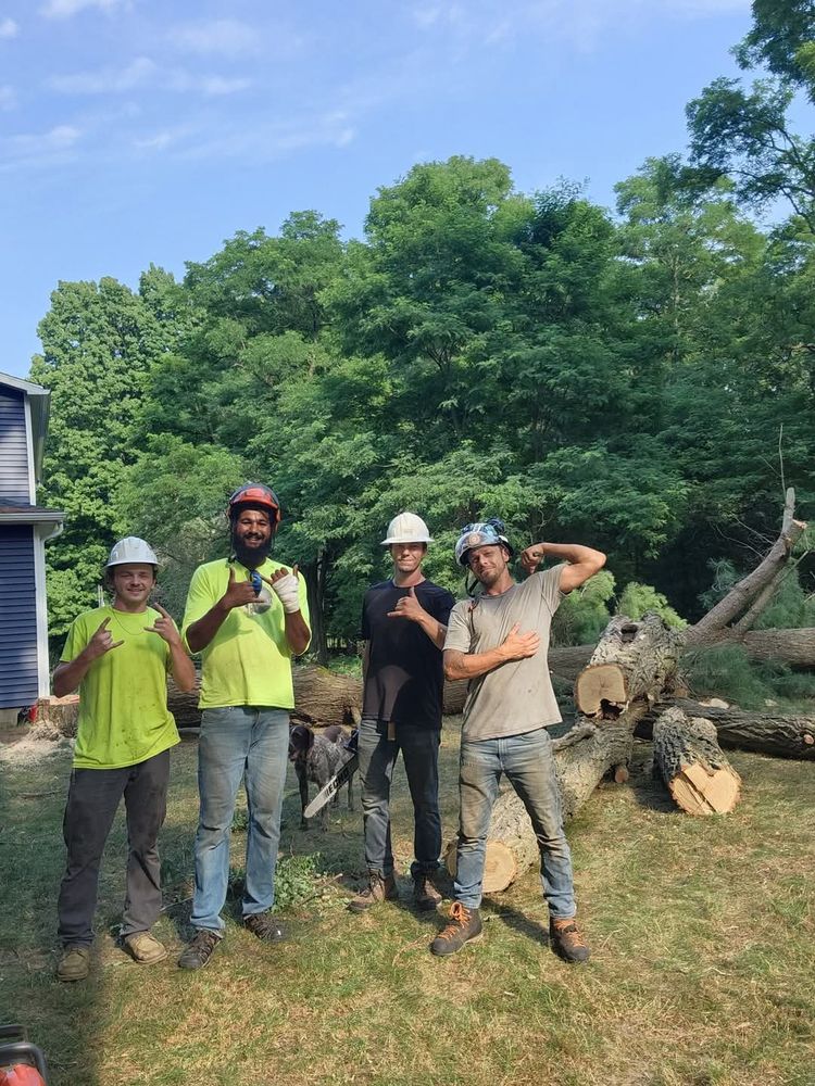 All Photos for D Hale Tree Service in Ann Arbor, MI