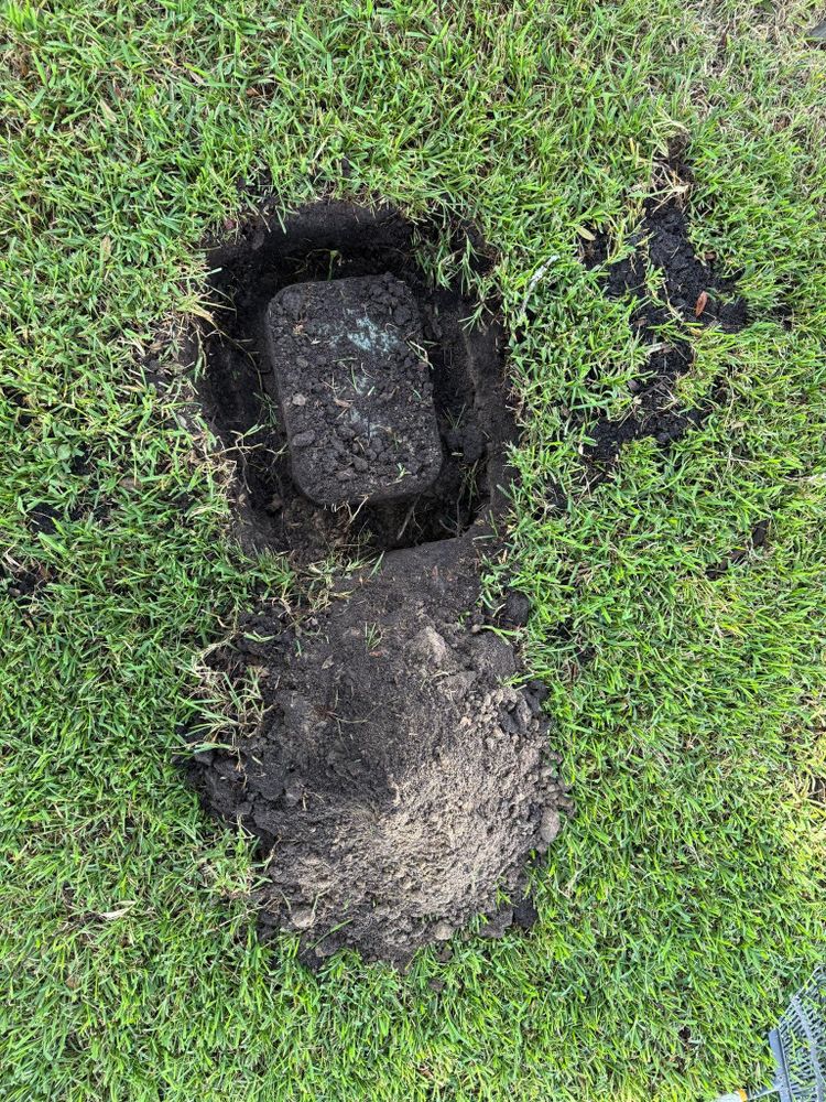All Photos for Pavone Irrigation in Spring Hill, FL