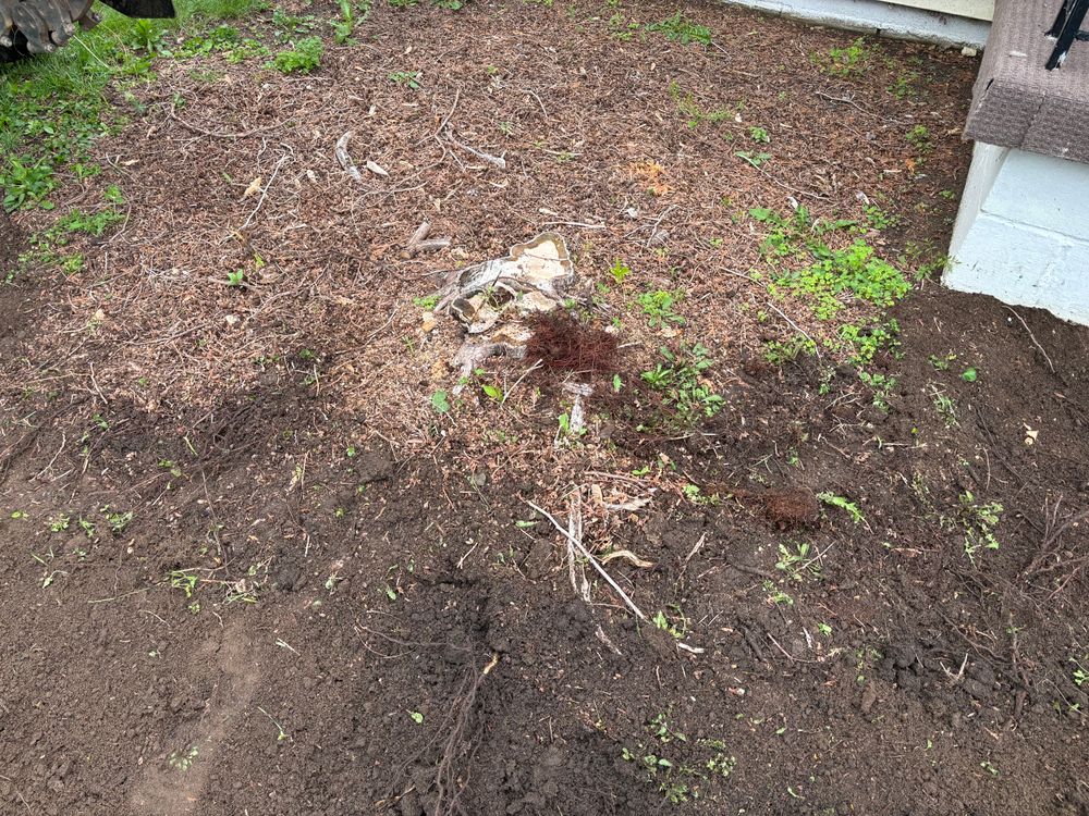 All Photos for Conrad's Stump Removal in Columbus, IN