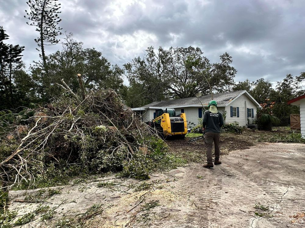 Stump Removal for Adam's Tree and Stump Care in Bradenton, Florida