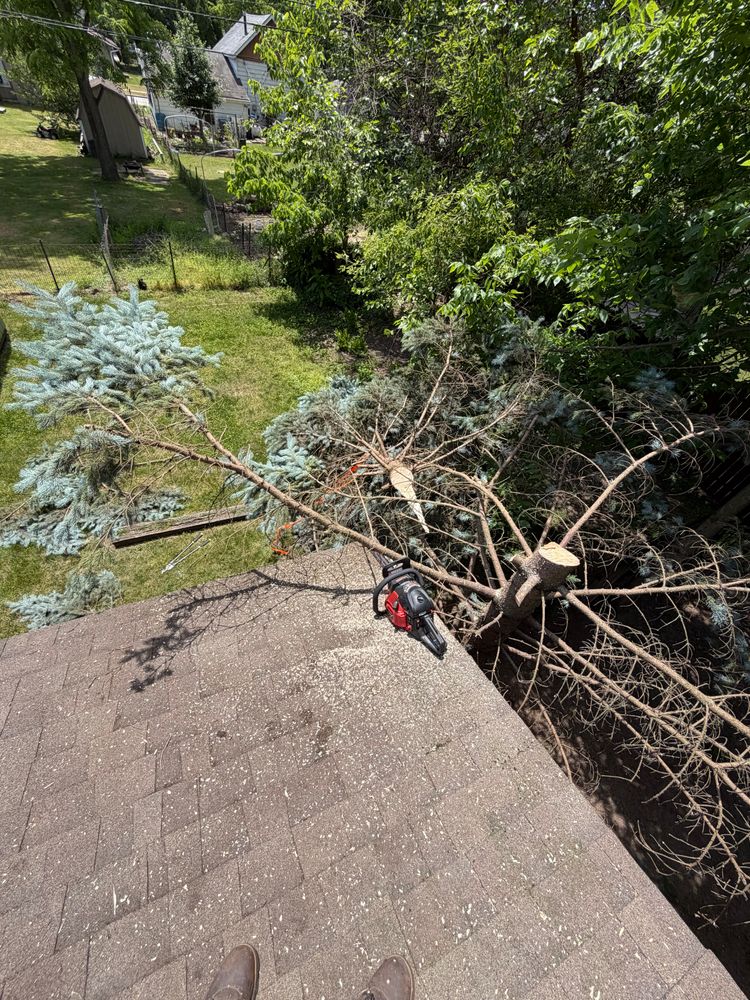Tree Removal for Blakescape in Elkhart, IN