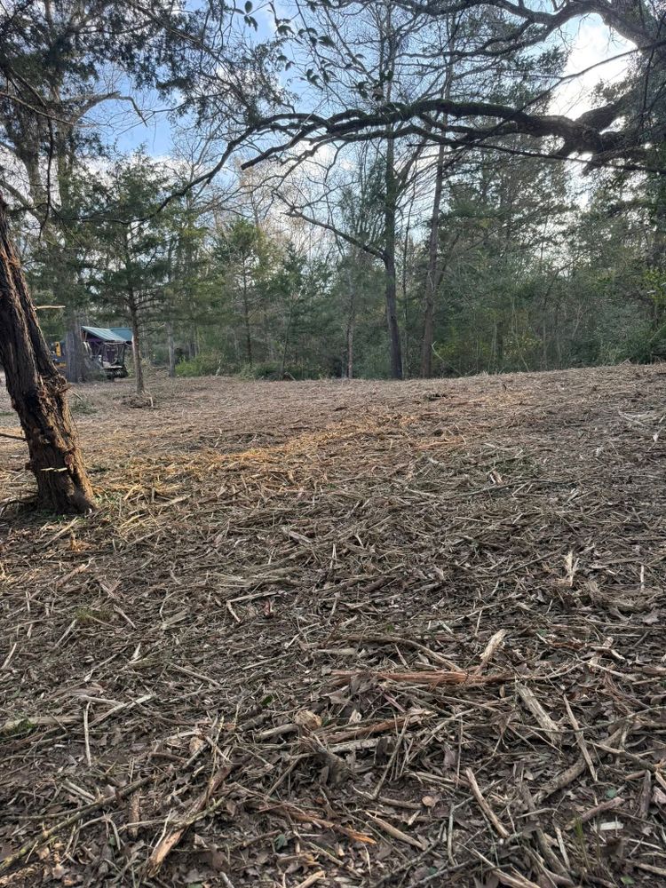 Dirt Work for Dovers Dirt Dynamics in Franklin, TX