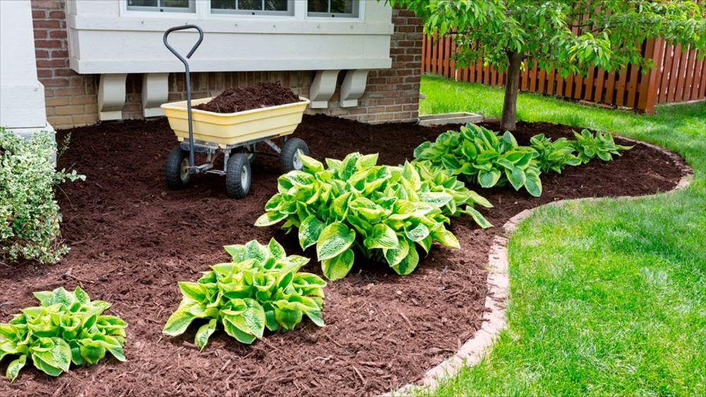 Our mulch installation service protects tree roots, retains soil moisture, reduces weeds, improves curb appeal, and promotes healthier landscapes with professional placement around your trees and planting beds. for Rockford Tree Specialist in Rockford, MN