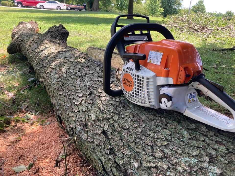 Tree Removal for Logan Tree Care LLC in Springfield, MO