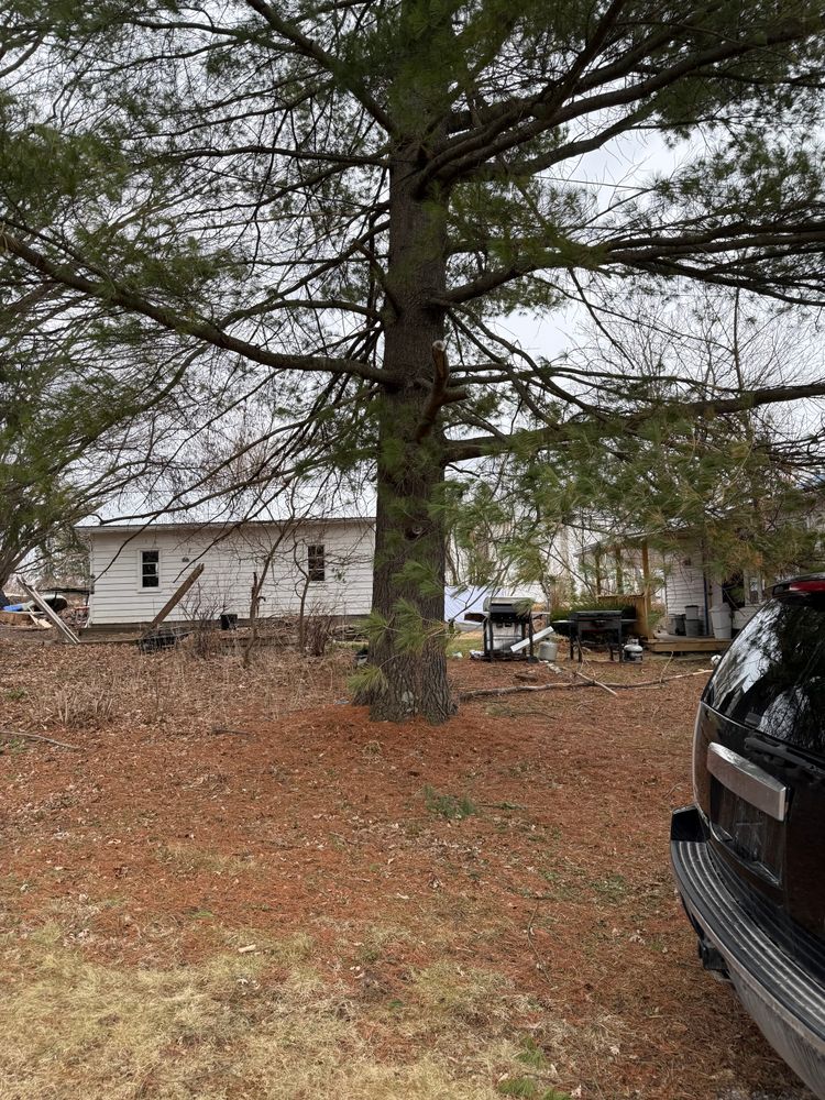 All Photos for Sterlings Tree Removal in Cobleskill, New York