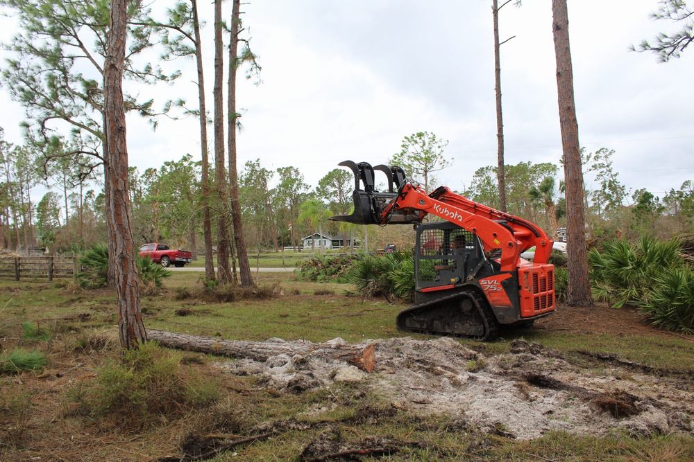 Tree Removal for American Tree Masters in Alvin, TX
