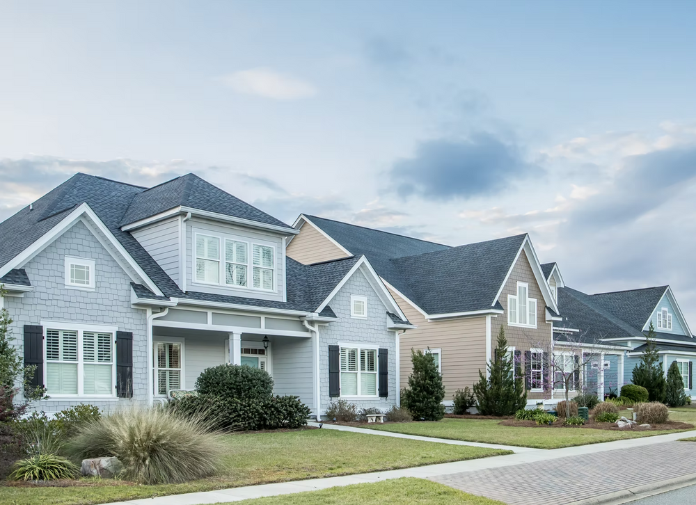 All Photos for Alpha Flooring & Painting Services. in Centennial, CO