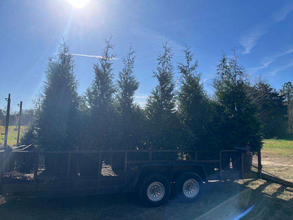 All Photos for Atlas Home Services in Mechanicsville, VA