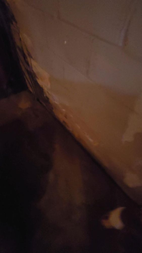 All Photos for K N P Zuniga Painting LLC in Linden, NJ