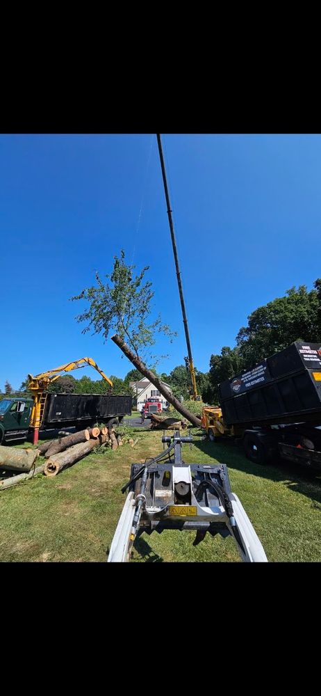 All Photos for Alexander's Tree Service  in Newburg,  MD