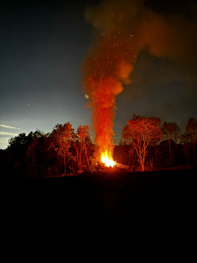 All Photos for Cone Grading and Land Clearing in Summerfield, NC