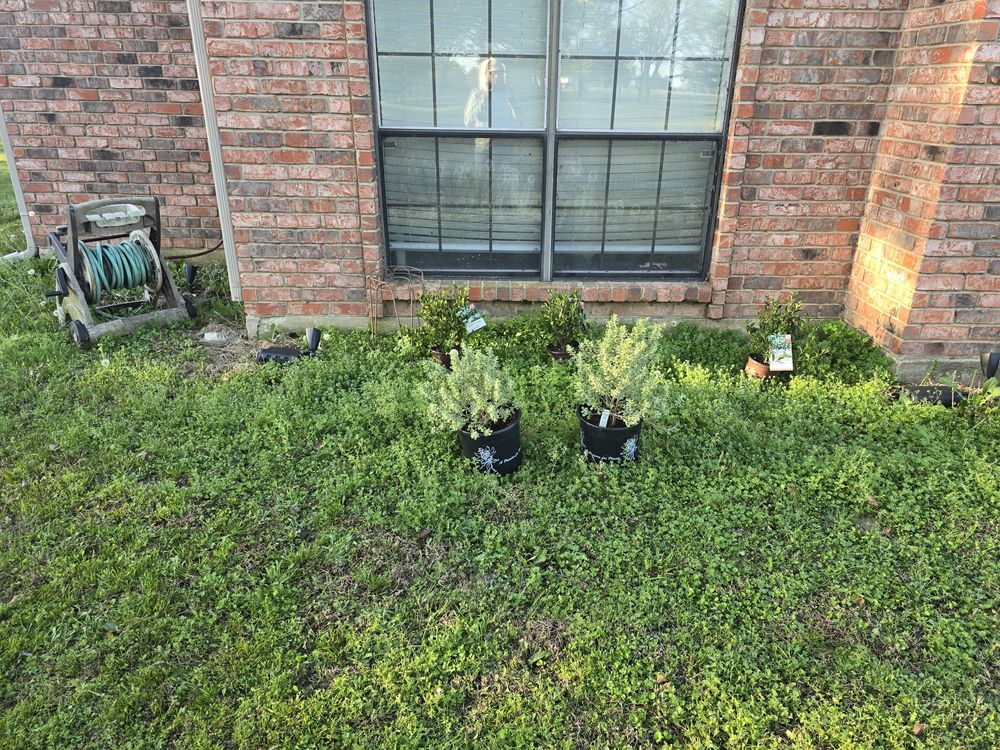 All Photos for Ornelas Lawn Service in Lone Oak, Texas