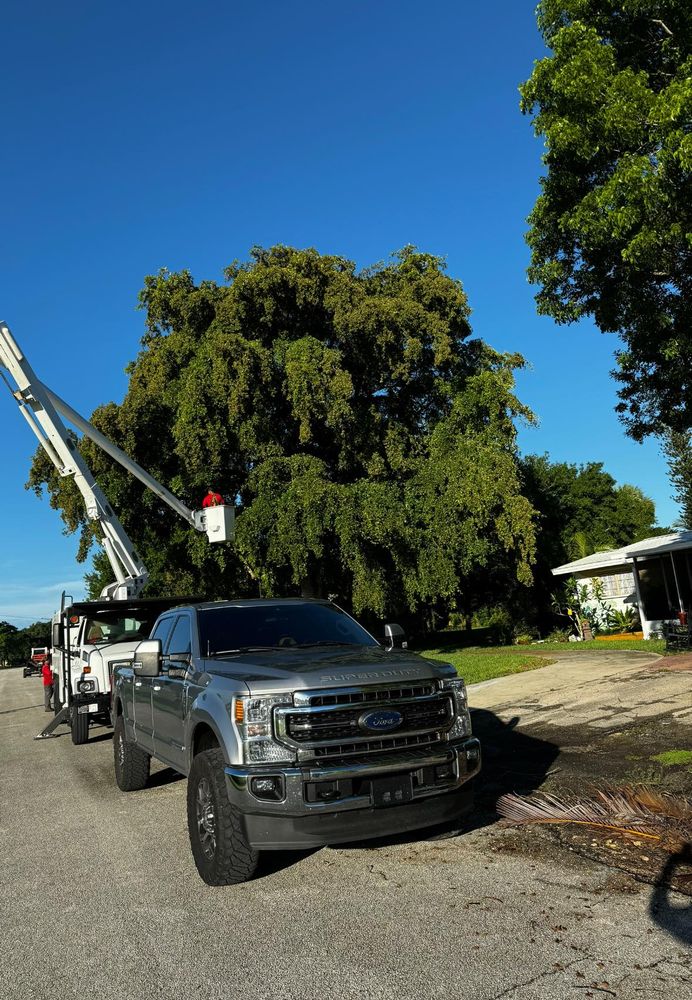 Tree Removal for Outdoor Solutions Of The Glades in Hendry County, FL