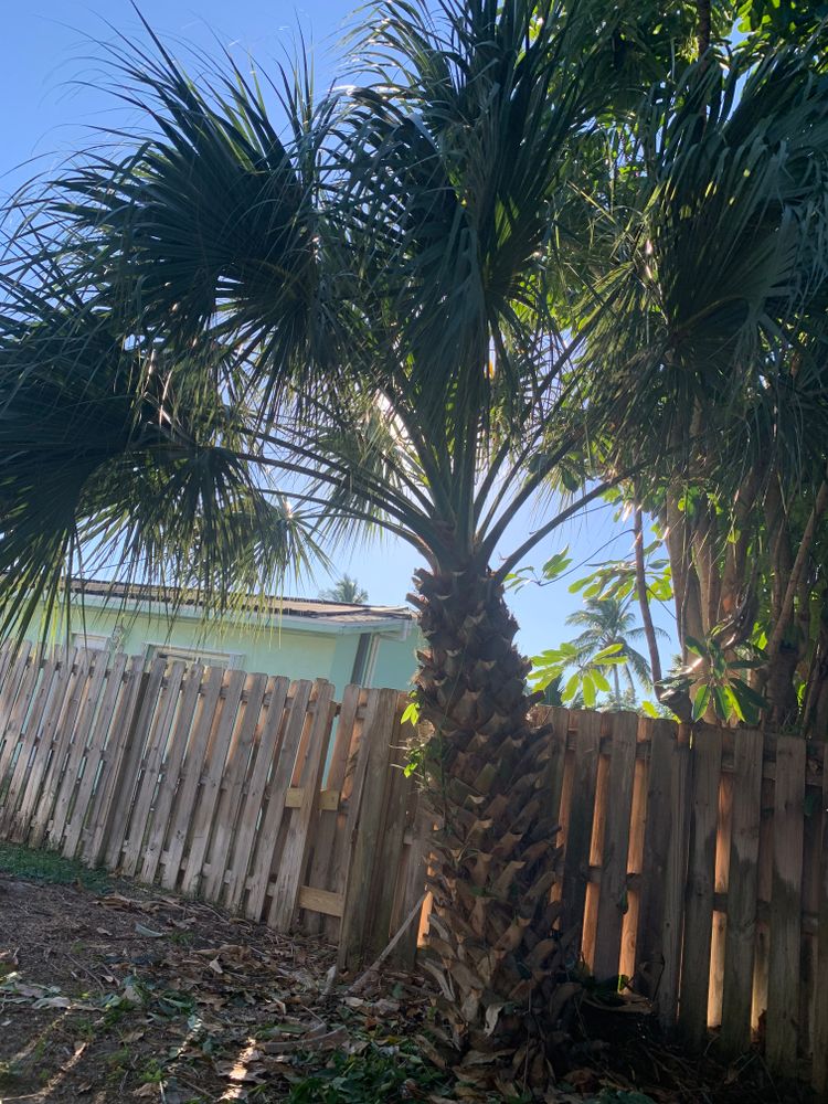 All Photos for Space Coast Property Maintenance and Management LLC in Melbourne, FL