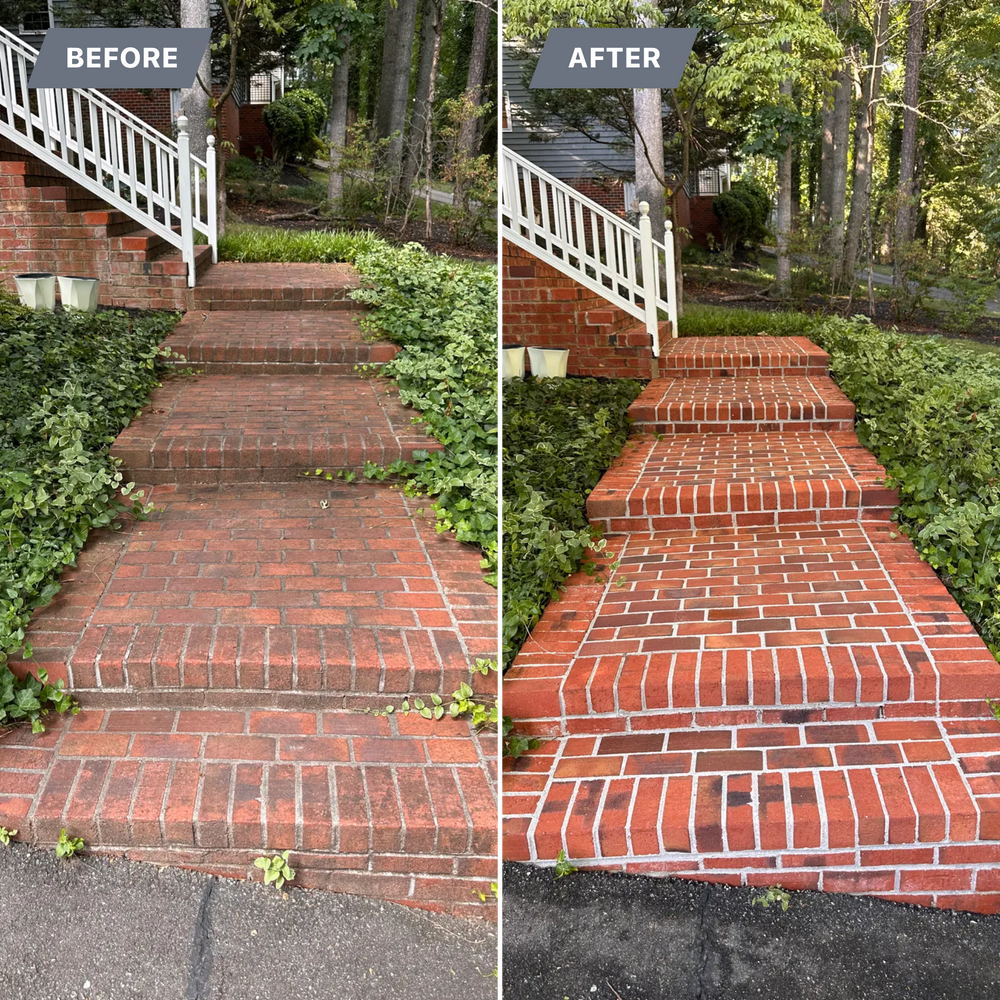 All Photos for LeafTide Solutions in Richmond, VA