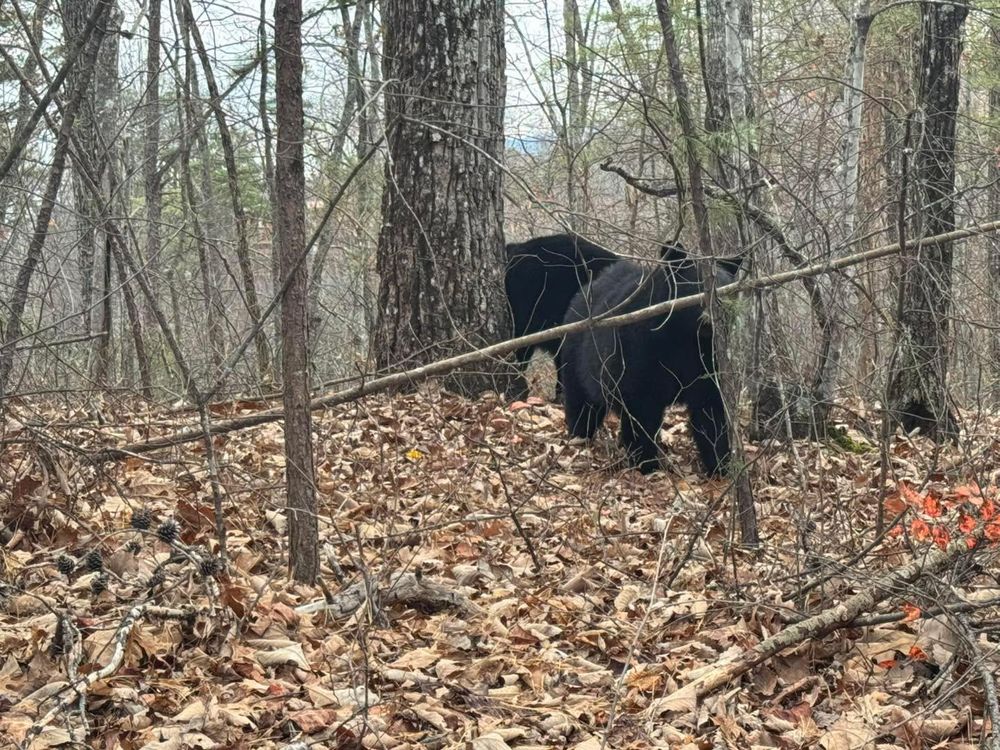 All Photos for Grayson Groundworks in Sevierville, TN