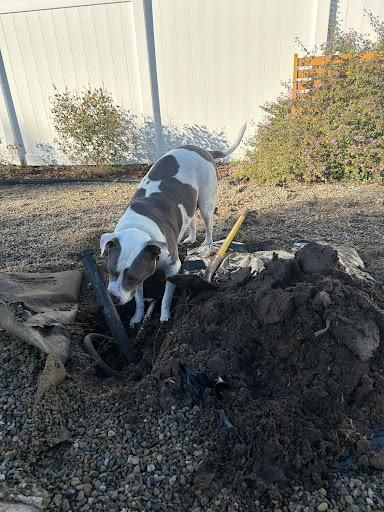 All Photos for C4 Ground Control in Oviedo, FL