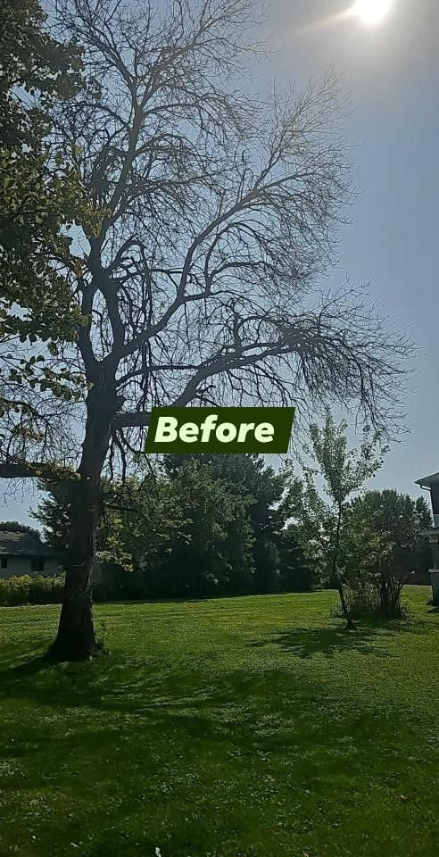 All Photos for Big River lawn Care services and snow LLC in Wausau, WI