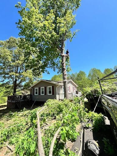 All Photos for Ricky's Tree Service & Property Care in Orange, VA