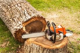 Our Tree Removal service safely eliminates unwanted trees from your property, enhancing safety, aesthetics, and maximizing space for a more beautiful and functional outdoor environment. for Bernal's Lawn Care/Tree Service in Klamath Falls,  OR