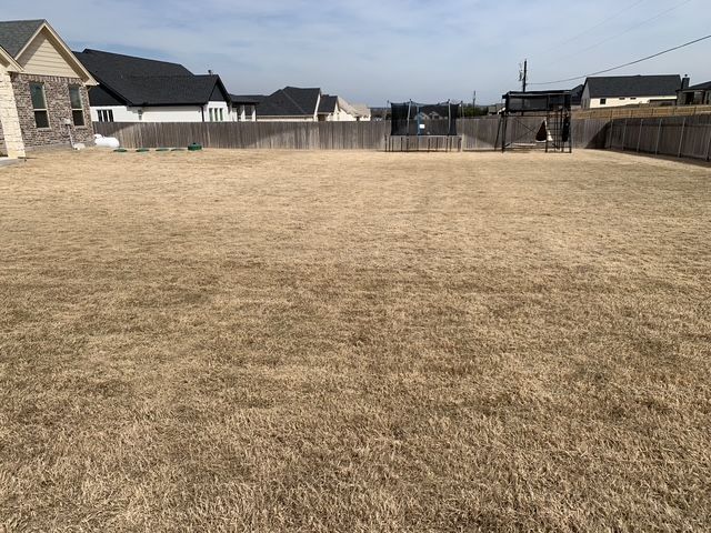 All Photos for Scalpel Lawn Service in Temple, TX