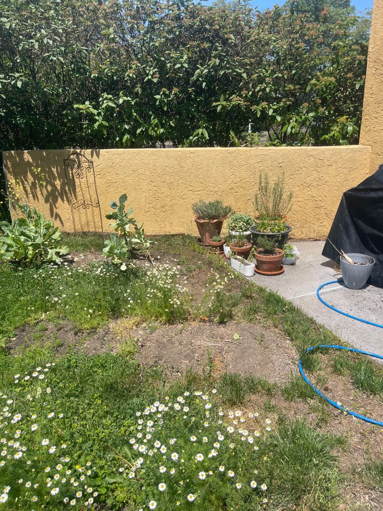 All Photos for NCR Power Washing in Gloucester City, NJ