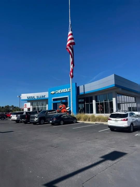 All Photos for Browne’s Yard Creations in Fruitland Park, FL