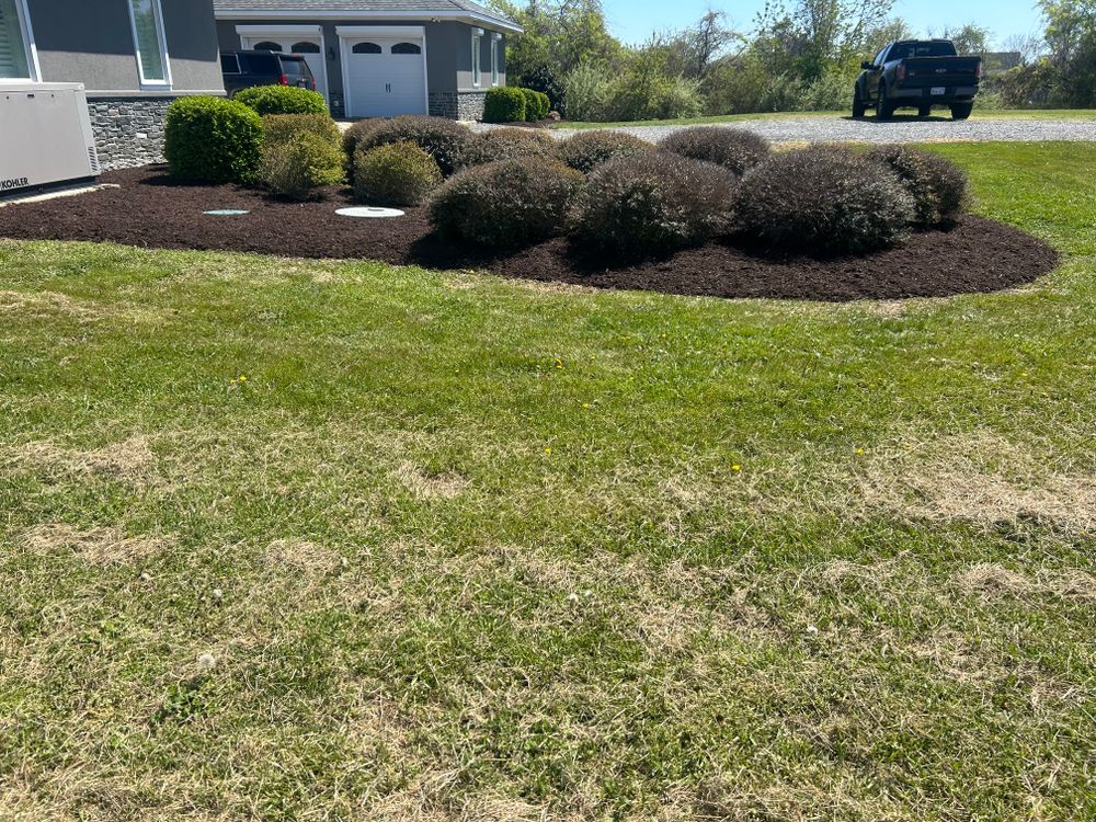 All Photos for The Whole 9 Yards Landscape VA in Heathsville, VA