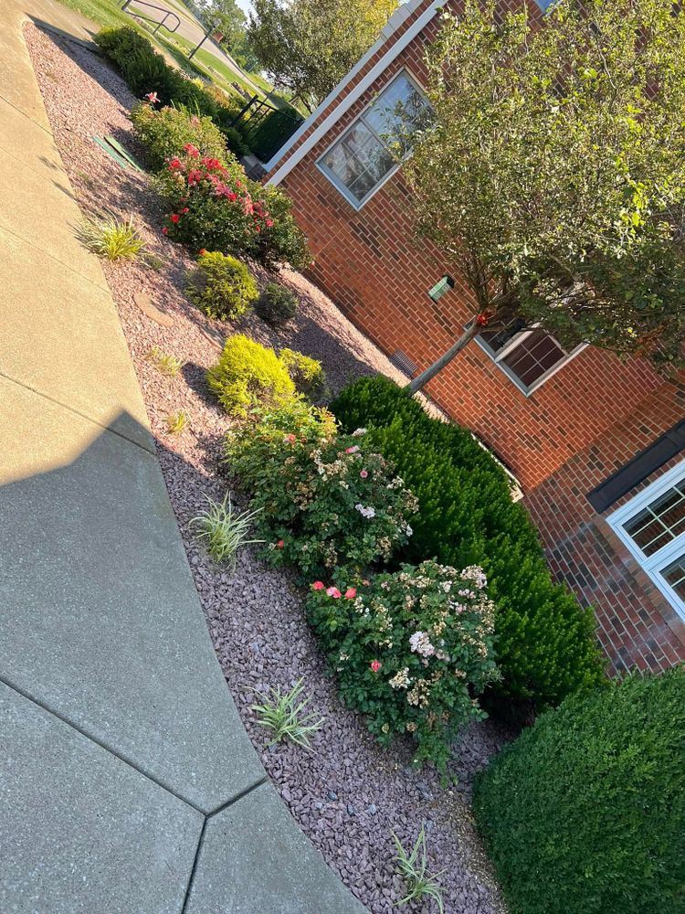 Landscaping for New Outlook Lawncare in Henderson County, KY