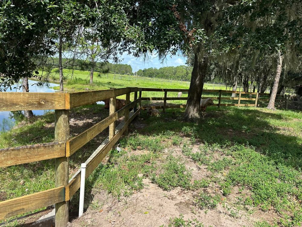 All Photos for Walsh Fencing & Land Management in Tavares, FL