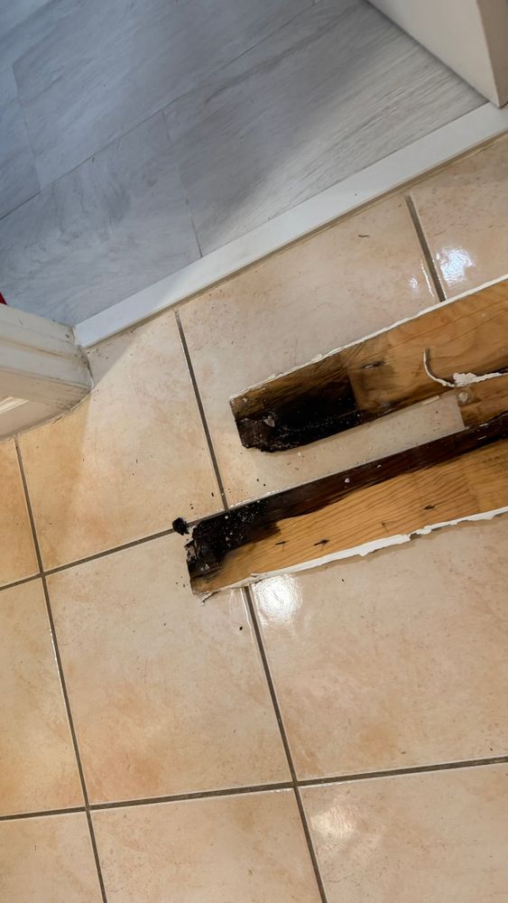Water Damage Claims for Surplus Public Adjusters in Miami-Dade County, FL
