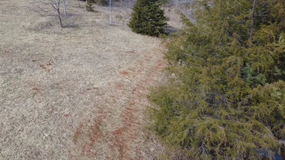 All Photos for DC Excavation in Jackson County, NC