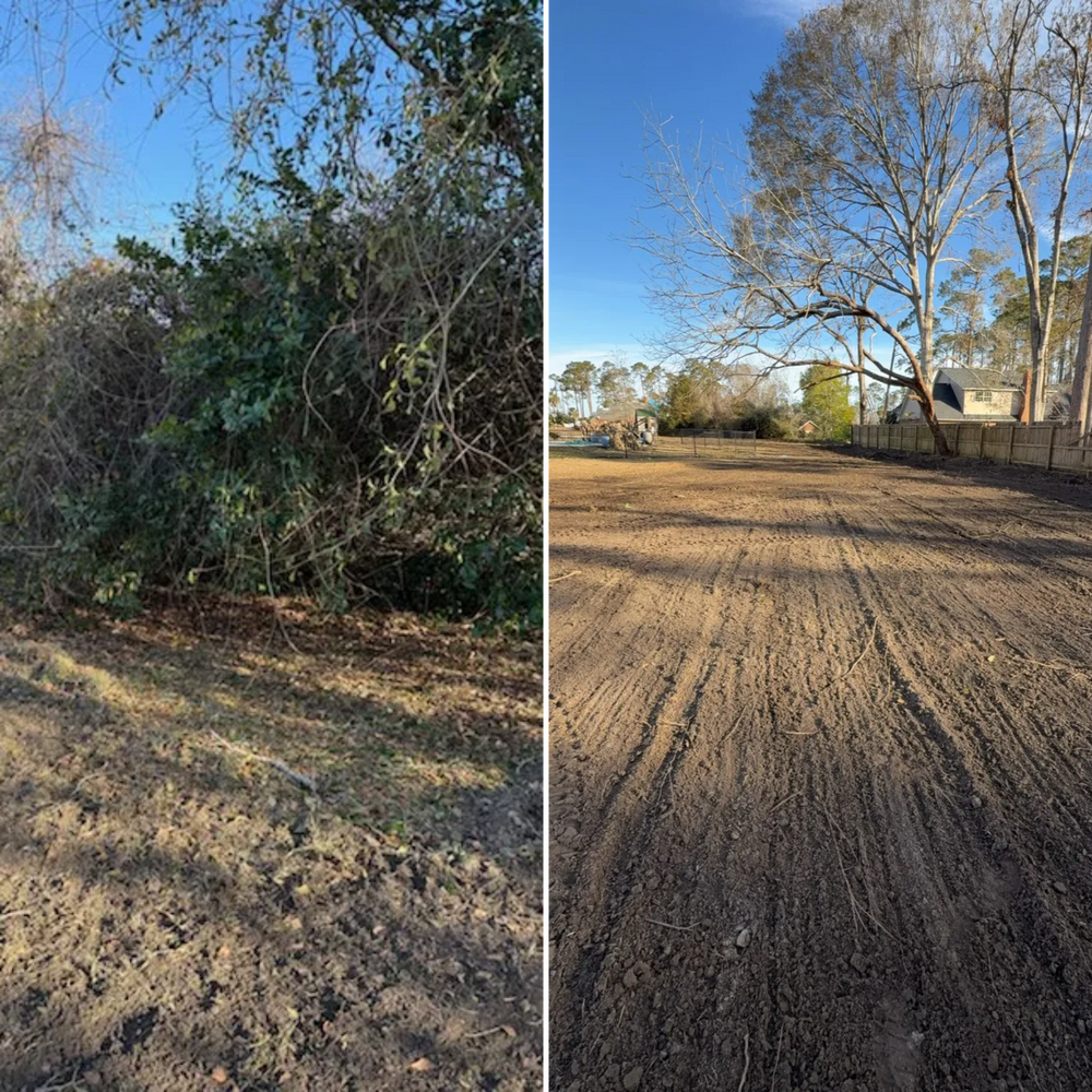 All Photos for Thompson Forestry Mulching & Stump Grinding in Douglas, GA