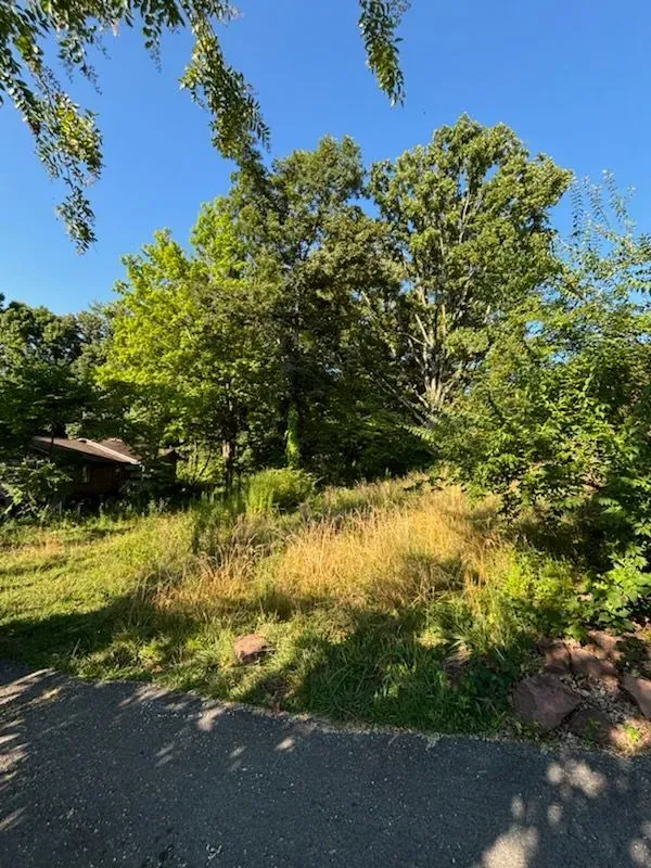 Brush Clearing  for Three Rivers Dirt Works LLC in Knoxville, TN